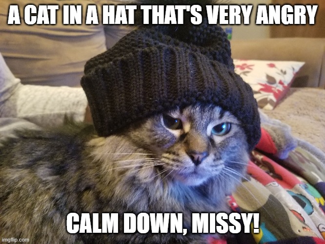 Cat in a hat that's very angry! | A CAT IN A HAT THAT'S VERY ANGRY; CALM DOWN, MISSY! | image tagged in cat,angry cat,funny cat,cat meme | made w/ Imgflip meme maker