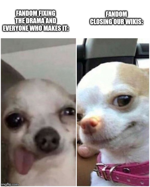 Dumb dog v.s Smart dog | FANDOM CLOSING OUR WIKIS:; FANDOM FIXING THE DRAMA AND EVERYONE WHO MAKES IT: | image tagged in dumb dog v s smart dog | made w/ Imgflip meme maker
