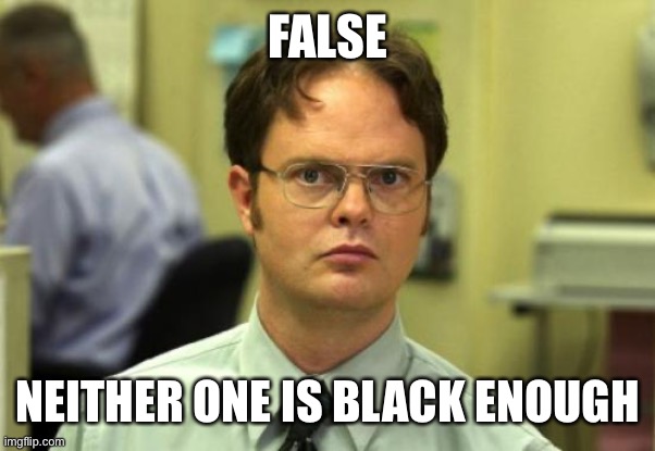 Dwight Schrute Meme | FALSE NEITHER ONE IS BLACK ENOUGH | image tagged in memes,dwight schrute | made w/ Imgflip meme maker