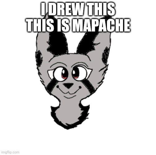 Furry art but the only thing is this is not stupid :\ | I DREW THIS THIS IS MAPACHE | image tagged in my art | made w/ Imgflip meme maker