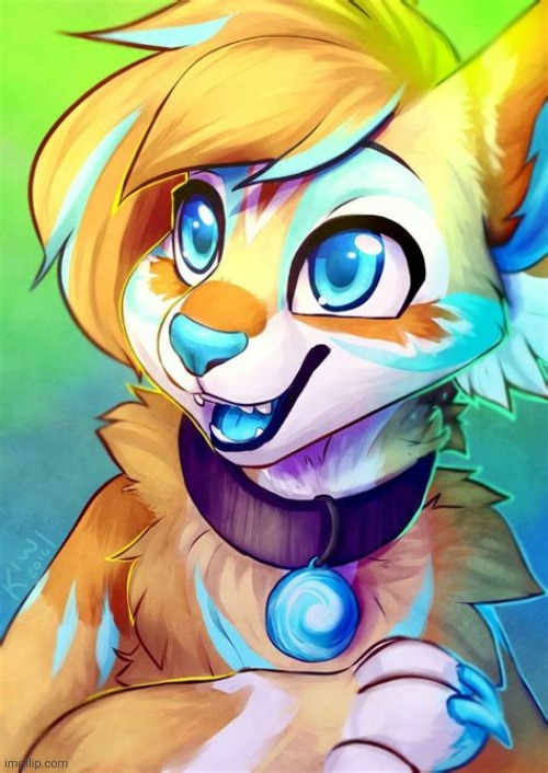 Cute furry | image tagged in furry art | made w/ Imgflip meme maker