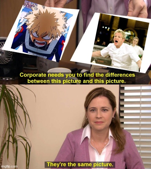 i still see no difference | image tagged in they are the same picture,bakugo,chef gordon ramsay | made w/ Imgflip meme maker