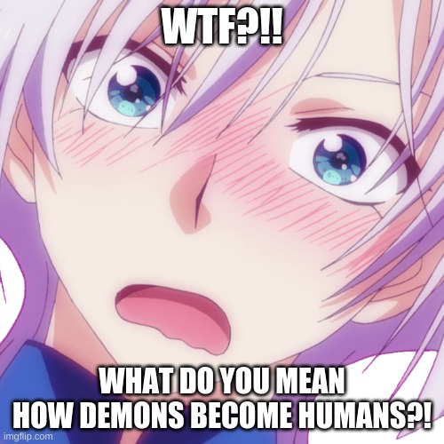 WTF?! Demons become Humans? | WTF?!! WHAT DO YOU MEAN HOW DEMONS BECOME HUMANS?! | image tagged in wtf,simple explanation professor,confusion | made w/ Imgflip meme maker