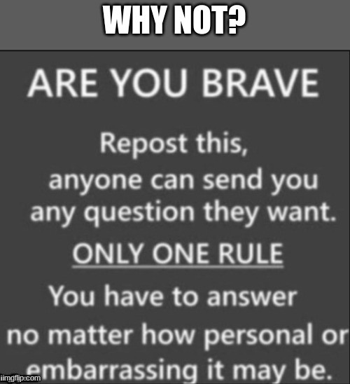 Prob gonna regret this, but I'm bored so ask away | WHY NOT? | image tagged in are you brave,repost,questions | made w/ Imgflip meme maker