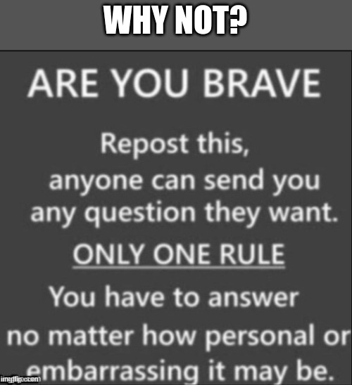 Don't make me regret this lol | WHY NOT? | image tagged in are you brave,question,repost | made w/ Imgflip meme maker