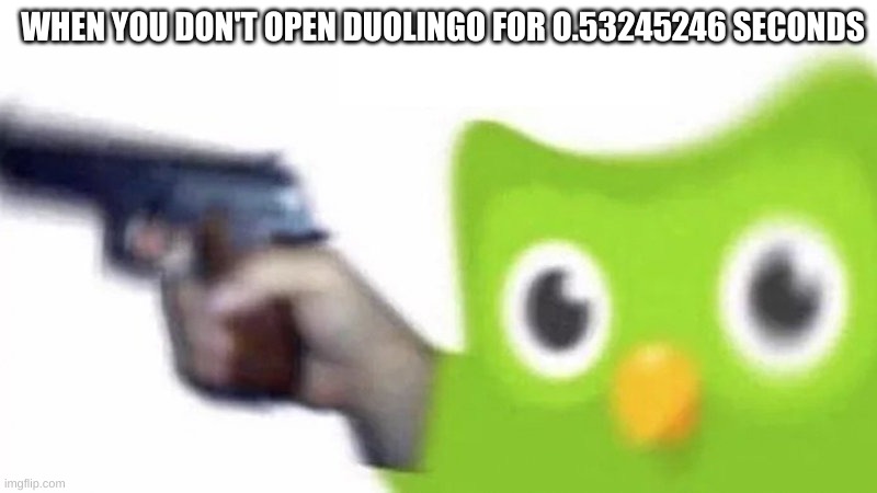 duolingo gun |  WHEN YOU DON'T OPEN DUOLINGO FOR O.53245246 SECONDS | image tagged in duolingo gun,duolingo,funny memes | made w/ Imgflip meme maker