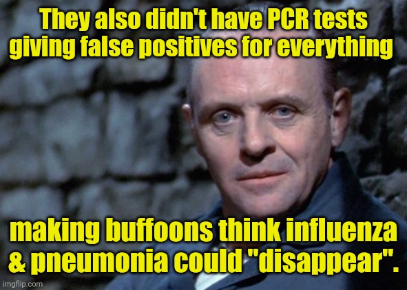Hannibal says: I'm listening. | They also didn't have PCR tests giving false positives for everything making buffoons think influenza & pneumonia could "disappear". | image tagged in hannibal says i'm listening | made w/ Imgflip meme maker