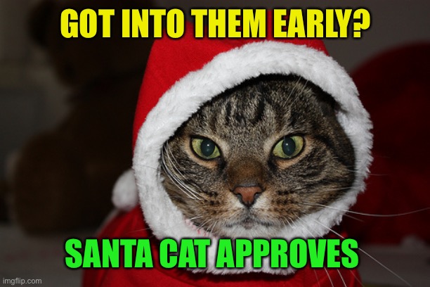 Santa Hat Cat | GOT INTO THEM EARLY? SANTA CAT APPROVES | image tagged in santa hat cat | made w/ Imgflip meme maker