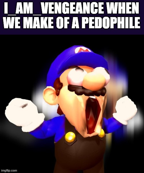 SMG3 Scream | I_AM_VENGEANCE WHEN WE MAKE OF A PEDOPHILE | image tagged in smg3 scream | made w/ Imgflip meme maker