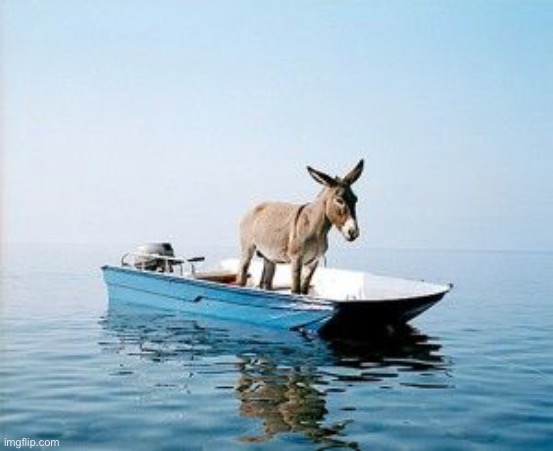 DONKEY ON A BOAT | image tagged in donkey on a boat | made w/ Imgflip meme maker