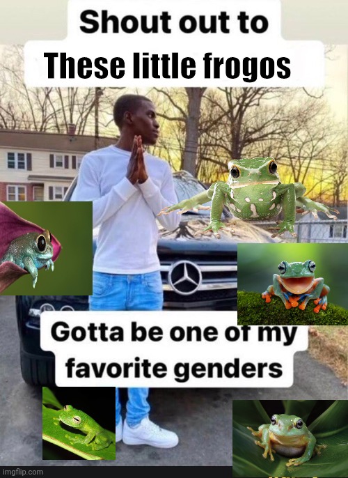 Frog-gender rights | These little frogos | image tagged in gotta be one of my favorite genders,frog | made w/ Imgflip meme maker