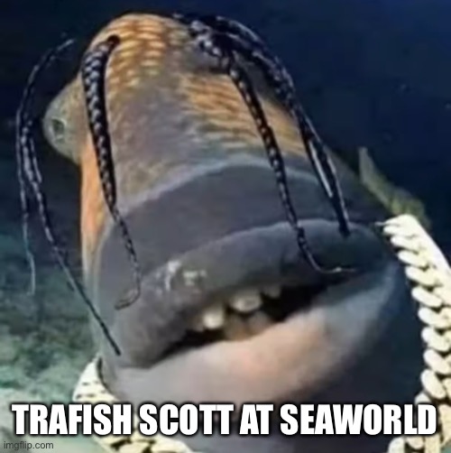 Trafish Scott | TRAFISH SCOTT AT SEAWORLD | image tagged in trafish scott | made w/ Imgflip meme maker