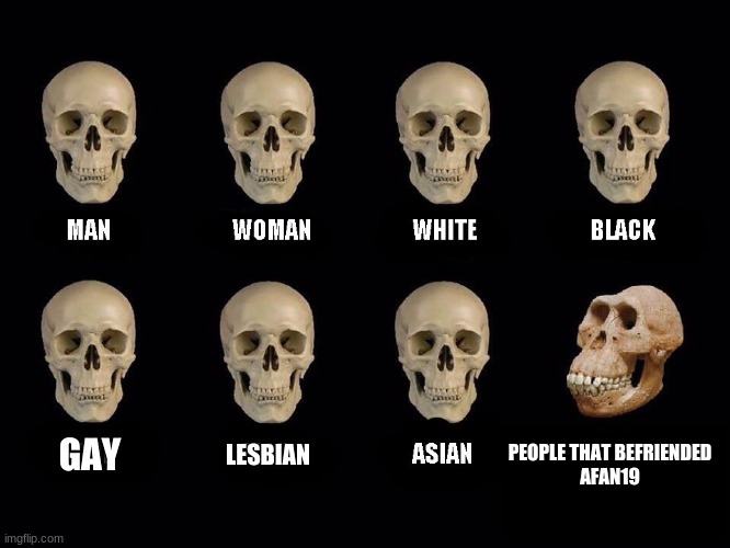 empty skulls of truth | GAY; PEOPLE THAT BEFRIENDED
AFAN19; LESBIAN | image tagged in empty skulls of truth | made w/ Imgflip meme maker