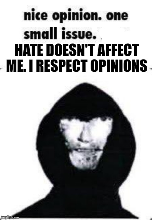 nice opinion | HATE DOESN'T AFFECT ME. I RESPECT OPINIONS | image tagged in nice opinion | made w/ Imgflip meme maker