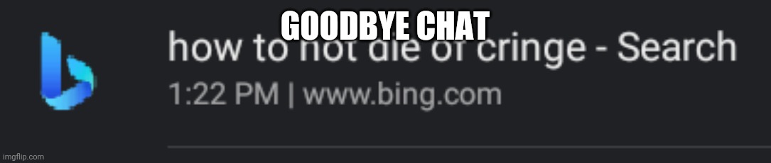 How to not die of cringe | GOODBYE CHAT | image tagged in how to not die of cringe | made w/ Imgflip meme maker