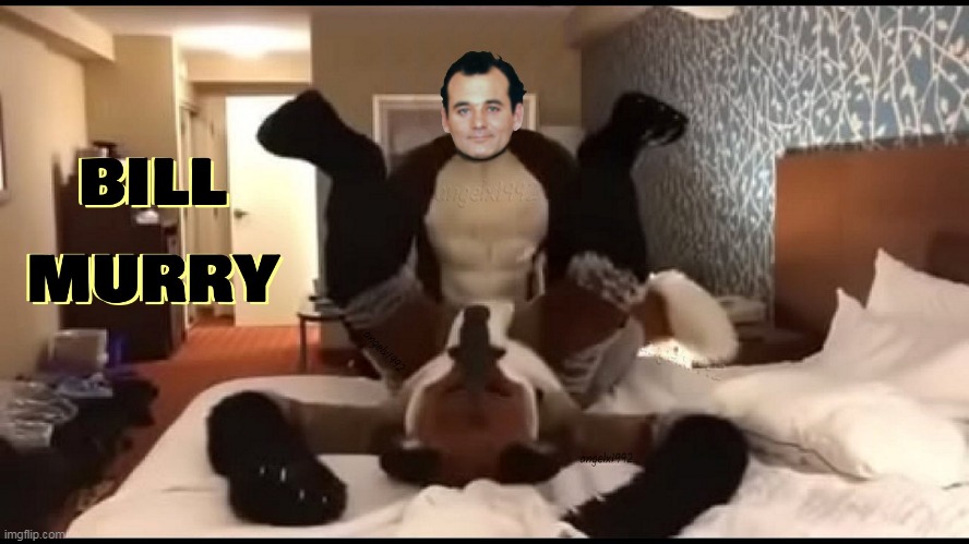 image tagged in fursuit,furry,murrsuit,bill murray,murr,furries | made w/ Imgflip meme maker