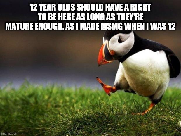 Mod note: a 12 year-old made this | 12 YEAR OLDS SHOULD HAVE A RIGHT TO BE HERE AS LONG AS THEY'RE MATURE ENOUGH, AS I MADE MSMG WHEN I WAS 12 | image tagged in memes,unpopular opinion puffin | made w/ Imgflip meme maker