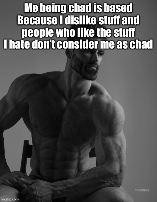 Giga Chad | Me being chad is based
Because I dislike stuff and people who like the stuff I hate don’t consider me as chad | image tagged in giga chad | made w/ Imgflip meme maker
