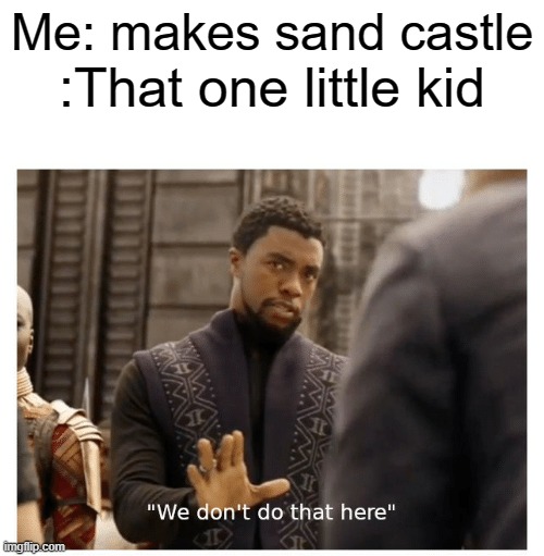 Its so annoying. | Me: makes sand castle; :That one little kid | image tagged in we don't do that here | made w/ Imgflip meme maker