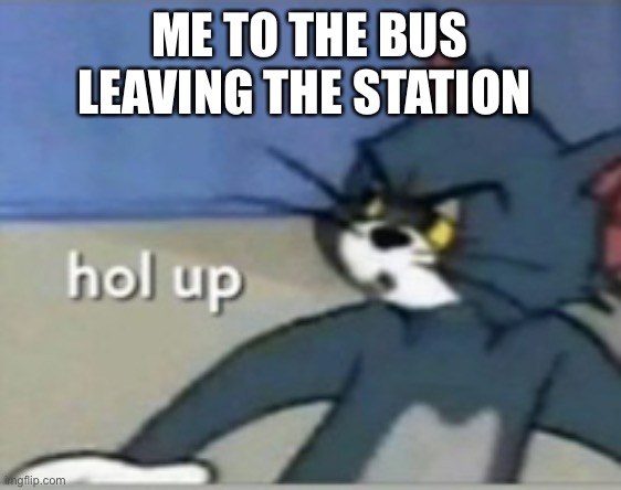 I had a idea…then lost it…I’m sorry | ME TO THE BUS LEAVING THE STATION | image tagged in hol up | made w/ Imgflip meme maker