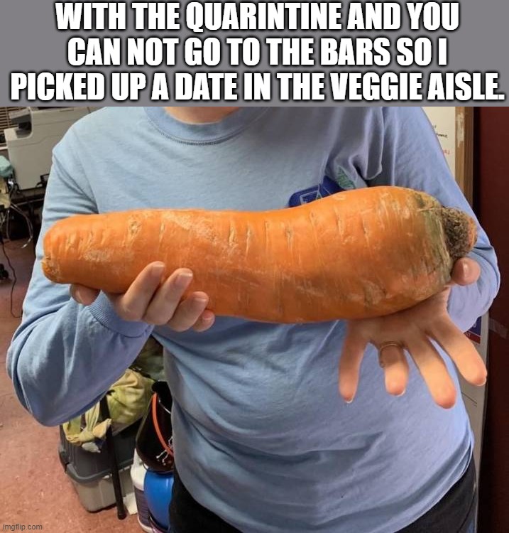WITH THE QUARINTINE AND YOU CAN NOT GO TO THE BARS SO I PICKED UP A DATE IN THE VEGGIE AISLE. | image tagged in vegetarian | made w/ Imgflip meme maker