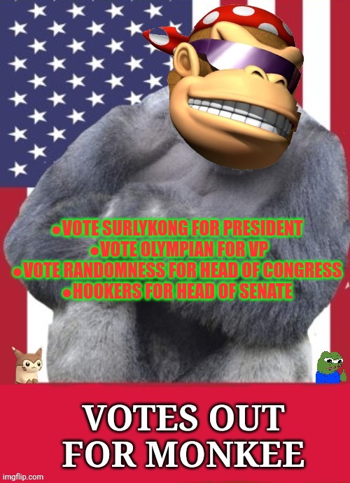 Vote common sense | ●VOTE SURLYKONG FOR PRESIDENT 
●VOTE OLYMPIAN FOR VP
●VOTE RANDOMNESS FOR HEAD OF CONGRESS 
●HOOKERS FOR HEAD OF SENATE | image tagged in votes out for monkee,vote,common sense,party | made w/ Imgflip meme maker