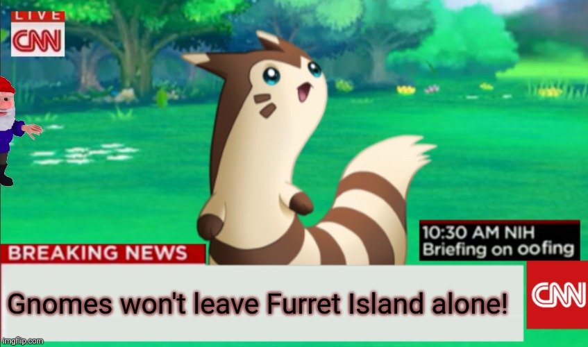 Furret's are sick of all those gnomes! | Gnomes won't leave Furret Island alone! | image tagged in breaking news furret,fur,gnomes,are bad,pokemon,furret | made w/ Imgflip meme maker