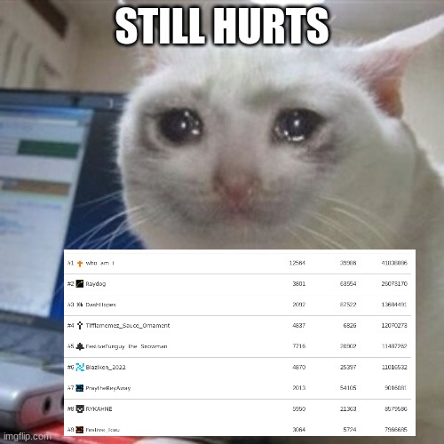 Crying cat | STILL HURTS | image tagged in crying cat | made w/ Imgflip meme maker