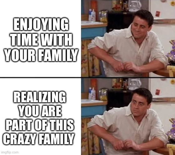 Surprised Joey | ENJOYING TIME WITH YOUR FAMILY; REALIZING YOU ARE PART OF THIS CRAZY FAMILY | image tagged in surprised joey,memes | made w/ Imgflip meme maker
