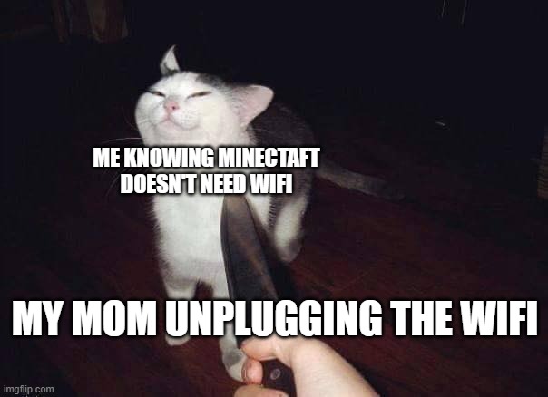 explotation | ME KNOWING MINECTAFT DOESN'T NEED WIFI; MY MOM UNPLUGGING THE WIFI | image tagged in smug cat - knife | made w/ Imgflip meme maker