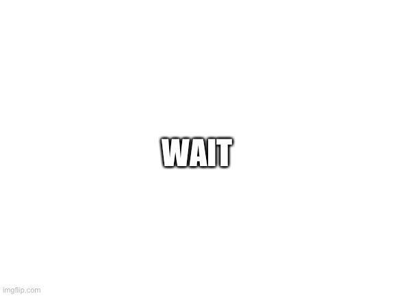 Blank White Template | WAIT | image tagged in blank white template | made w/ Imgflip meme maker