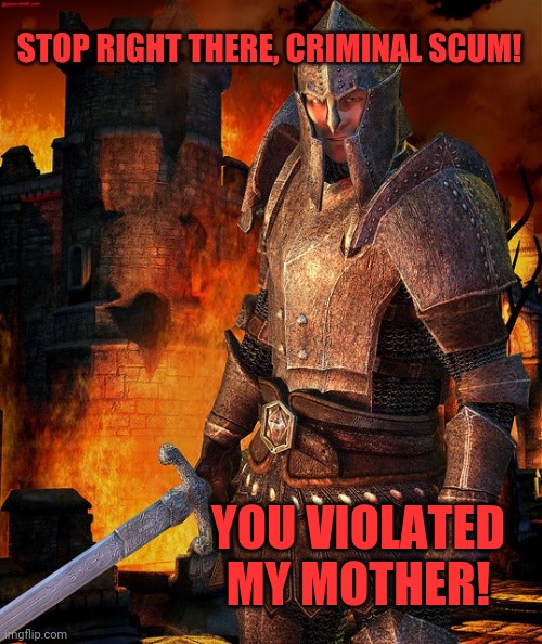 Oblivion Guard | STOP RIGHT THERE, CRIMINAL SCUM! YOU VIOLATED MY MOTHER! | image tagged in the elder scrolls,oblivion,guard,stop it patrick you're scaring him,halt | made w/ Imgflip meme maker
