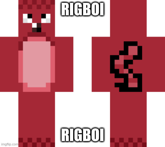 rigboi | RIGBOI; RIGBOI | image tagged in rigboi | made w/ Imgflip meme maker