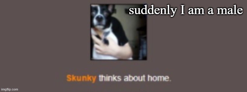 Skunky thinks about home | suddenly I am a male | image tagged in skunky thinks about home | made w/ Imgflip meme maker