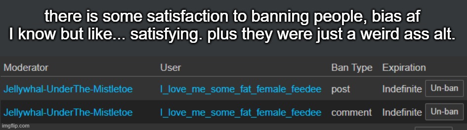 good riddance. | there is some satisfaction to banning people, bias af I know but like... satisfying. plus they were just a weird ass alt. | made w/ Imgflip meme maker