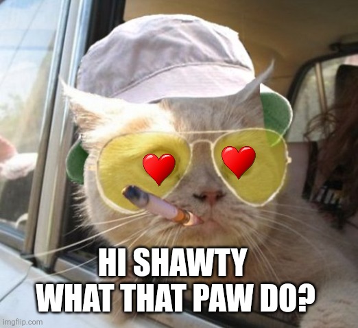 Fear And Loathing Cat Meme |  HI SHAWTY  WHAT THAT PAW DO? | image tagged in memes,fear and loathing cat | made w/ Imgflip meme maker