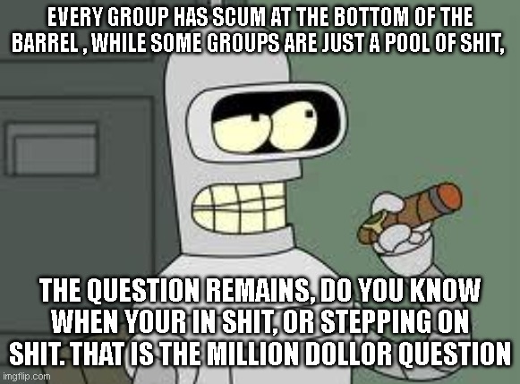 wisdom | EVERY GROUP HAS SCUM AT THE BOTTOM OF THE BARREL , WHILE SOME GROUPS ARE JUST A POOL OF SHIT, THE QUESTION REMAINS, DO YOU KNOW WHEN YOUR IN SHIT, OR STEPPING ON SHIT. THAT IS THE MILLION DOLLOR QUESTION | image tagged in bender,wisdom,funny,shit,wtf,idk | made w/ Imgflip meme maker