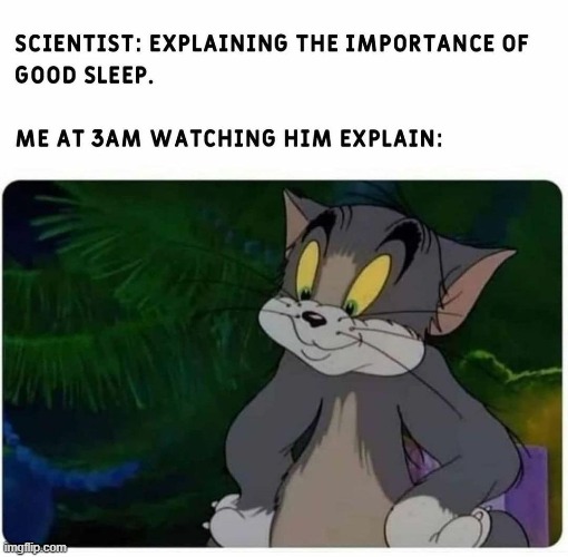 Why you awake tho? | image tagged in memes,funny,gifs,funny memes,tom and jerry,sleep | made w/ Imgflip meme maker