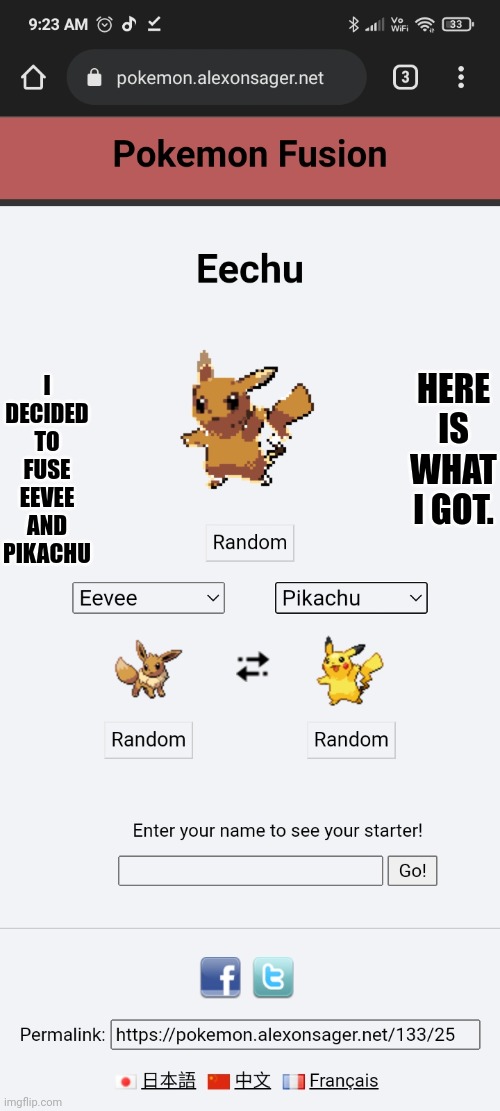 What have i done | HERE IS WHAT I GOT. I DECIDED TO FUSE EEVEE AND PIKACHU | made w/ Imgflip meme maker