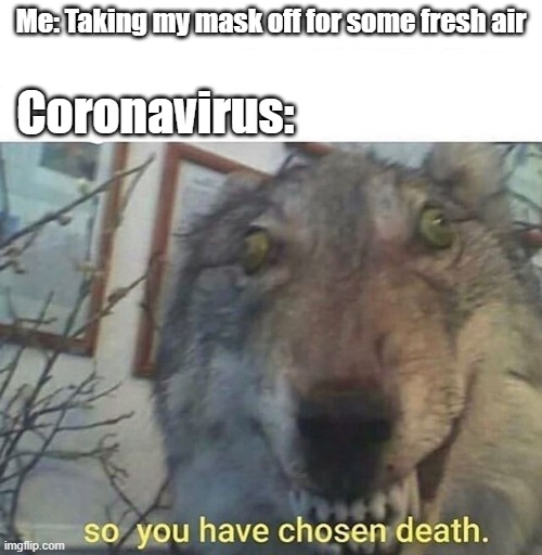 so you have chosen death | Me: Taking my mask off for some fresh air; Coronavirus: | image tagged in so you have chosen death | made w/ Imgflip meme maker