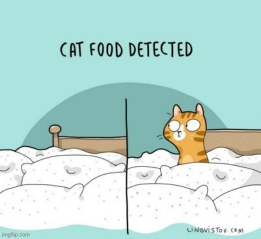 A Cat's Way Of Thinking | image tagged in memes,comics,cats,alert,cat food,detected | made w/ Imgflip meme maker