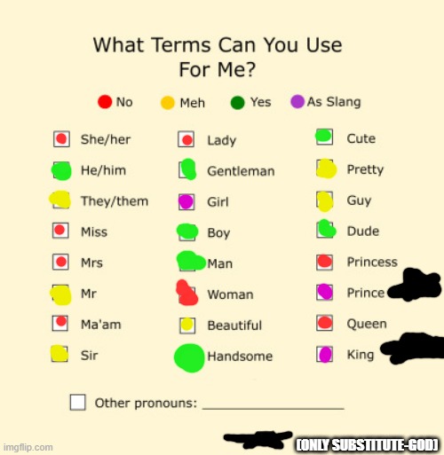 Pronouns Sheet | (ONLY SUBSTITUTE-GOD) | image tagged in pronouns sheet | made w/ Imgflip meme maker