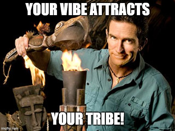 Your vibe attracts your tribe | YOUR VIBE ATTRACTS; YOUR TRIBE! | image tagged in survivor | made w/ Imgflip meme maker