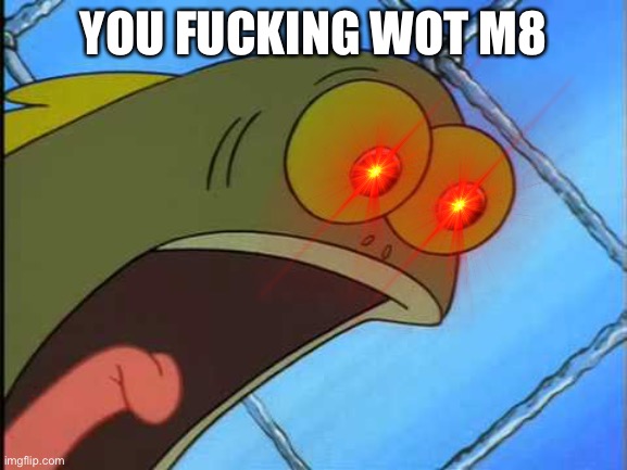 You what?! | YOU FUCKING WOT M8 | image tagged in you what | made w/ Imgflip meme maker
