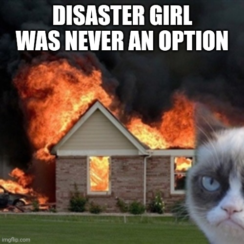 Disaster Grumpy Cat | DISASTER GIRL WAS NEVER AN OPTION | image tagged in disaster grumpy cat | made w/ Imgflip meme maker