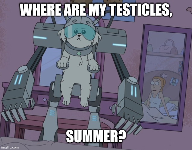 Where are my testicles summer  | WHERE ARE MY TESTICLES, SUMMER? | image tagged in where are my testicles summer | made w/ Imgflip meme maker