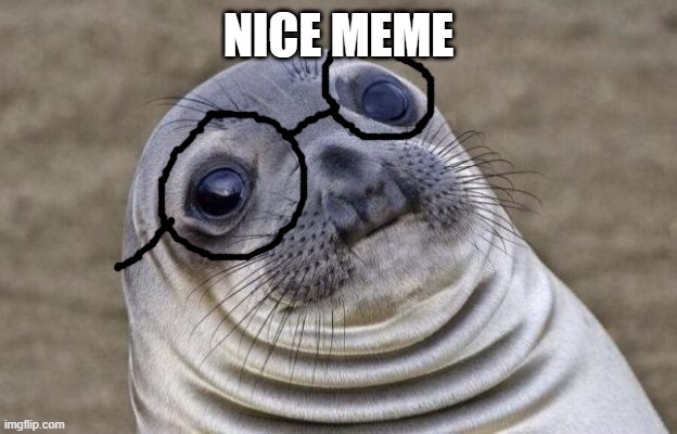 Awkward Moment Sealion Meme | NICE MEME | image tagged in memes,awkward moment sealion | made w/ Imgflip meme maker