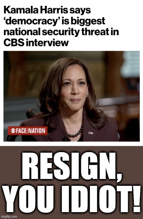 Unfit for office |  RESIGN, YOU IDIOT! | image tagged in memes,kamala harris,democracy,threat to our national secuirty,idiot,democrats | made w/ Imgflip meme maker