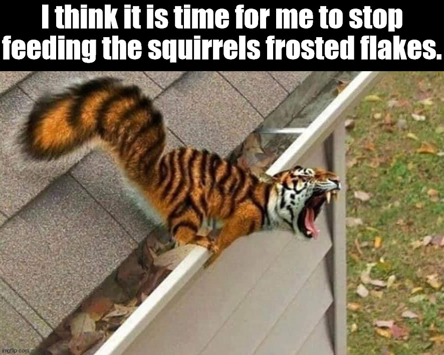 They're Great | I think it is time for me to stop feeding the squirrels frosted flakes. | image tagged in frosted flakes,that would be great | made w/ Imgflip meme maker