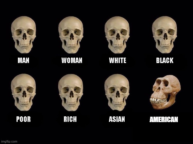 empty skulls of truth | AMERICAN | image tagged in empty skulls of truth | made w/ Imgflip meme maker